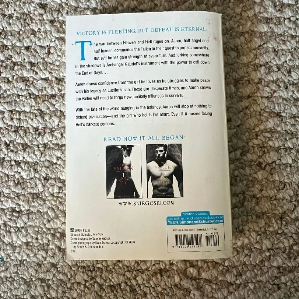The Fallen 3: End of days book